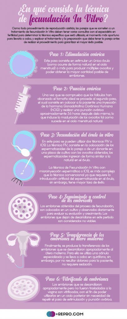 fecundacion in vitro