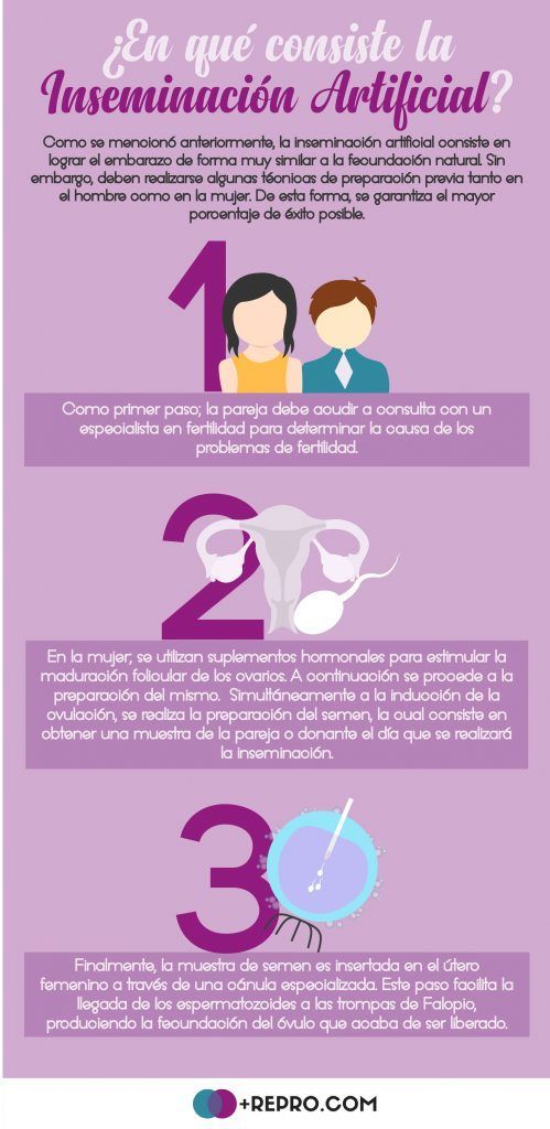inseminacion artificial