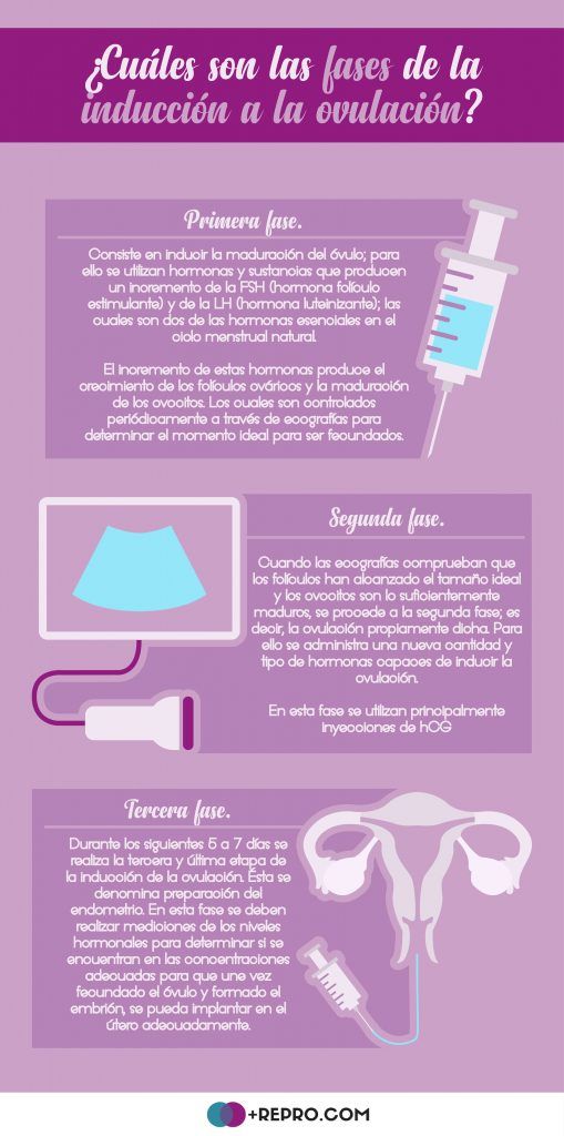 induccion a la ovulacion y coito programado paso a paso