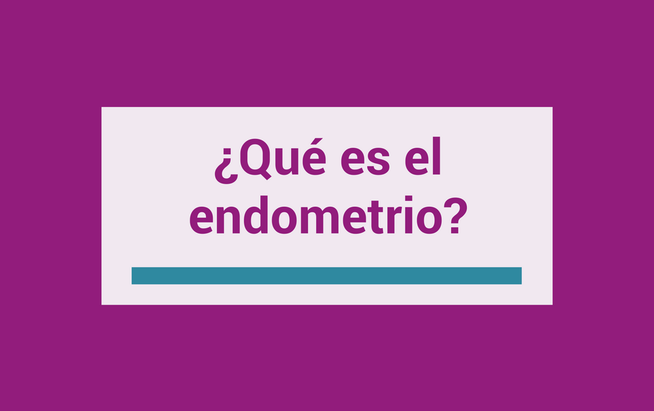 que es el endometrio