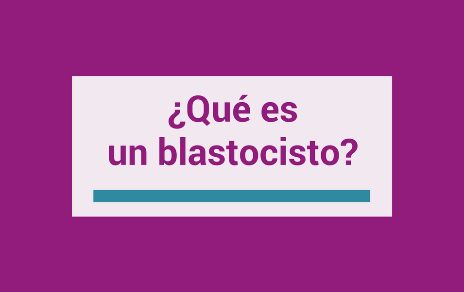 que es un blastocisto