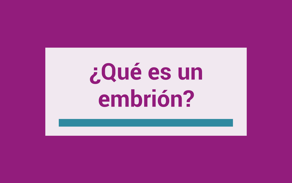 que es un embrion