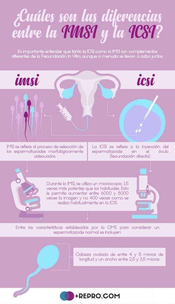 diferencia entre la IMSI y la ICSI
