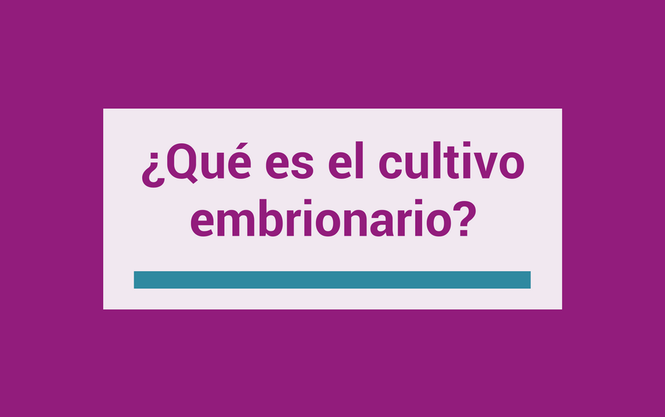 que es el cultivo embrionario
