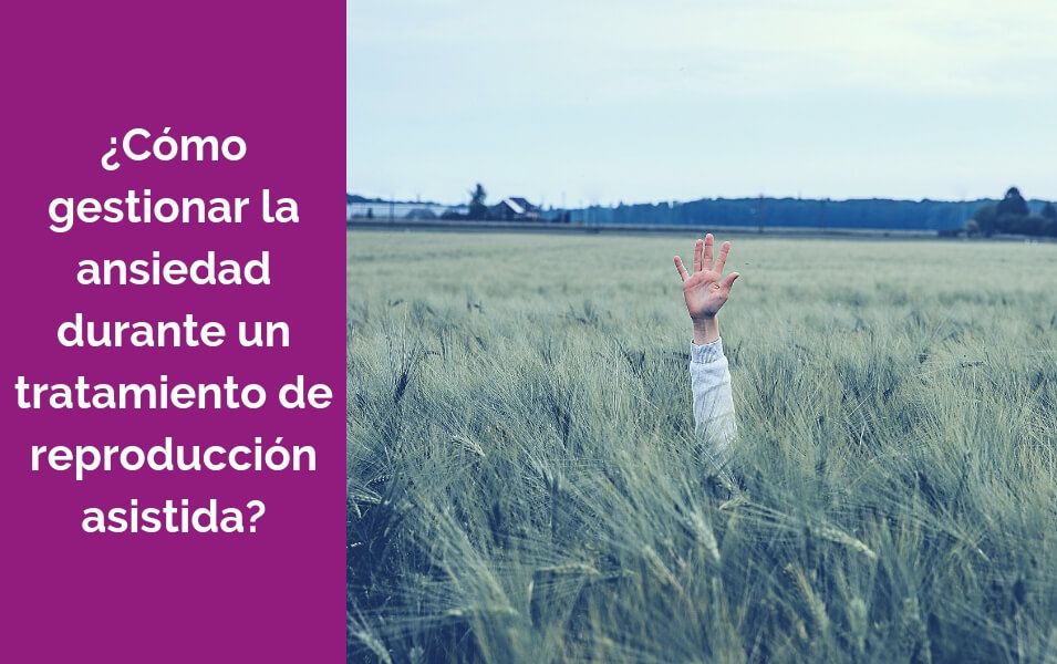 como gestionar la ansiedad durante la reproducción asistida